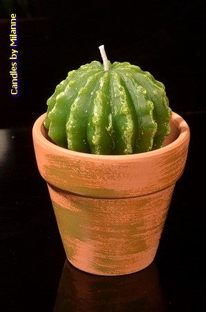 Set of 2 Cactus Candles - handcrafted candle - Candles by MilaNNE