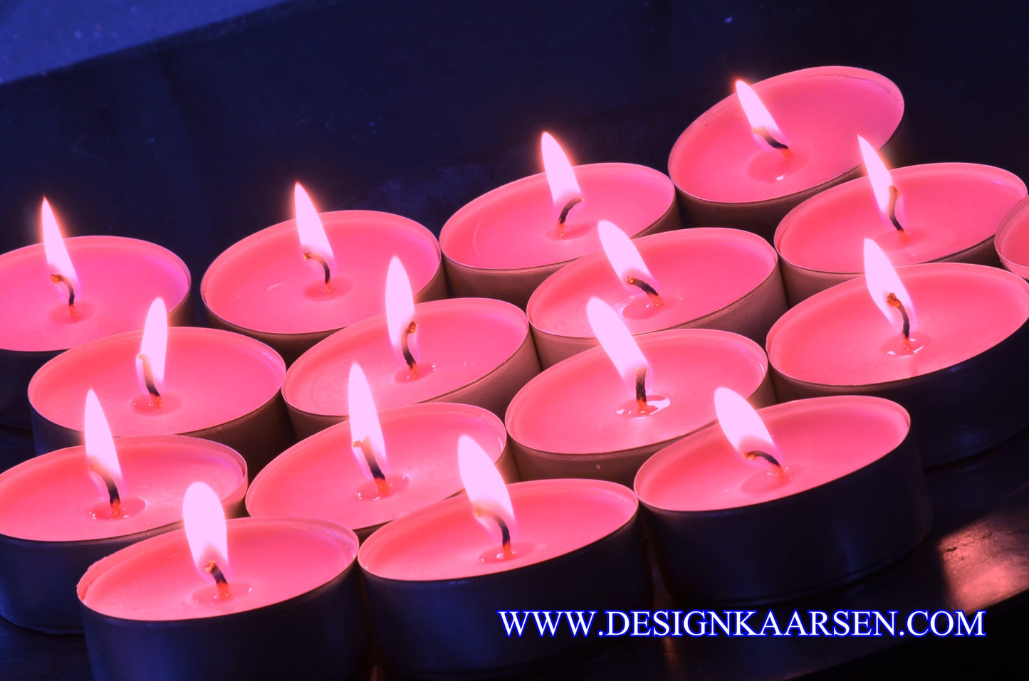 16 Wild Orchid Scented Candles - Tealights