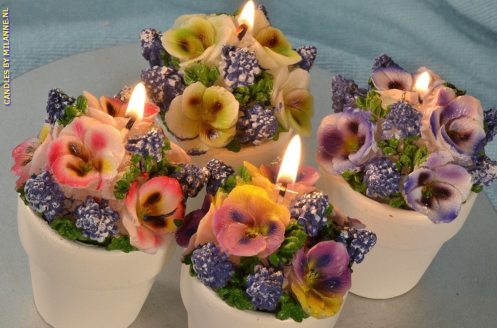Setje van 4 Bloemen kaarsen in Stenen Potjes