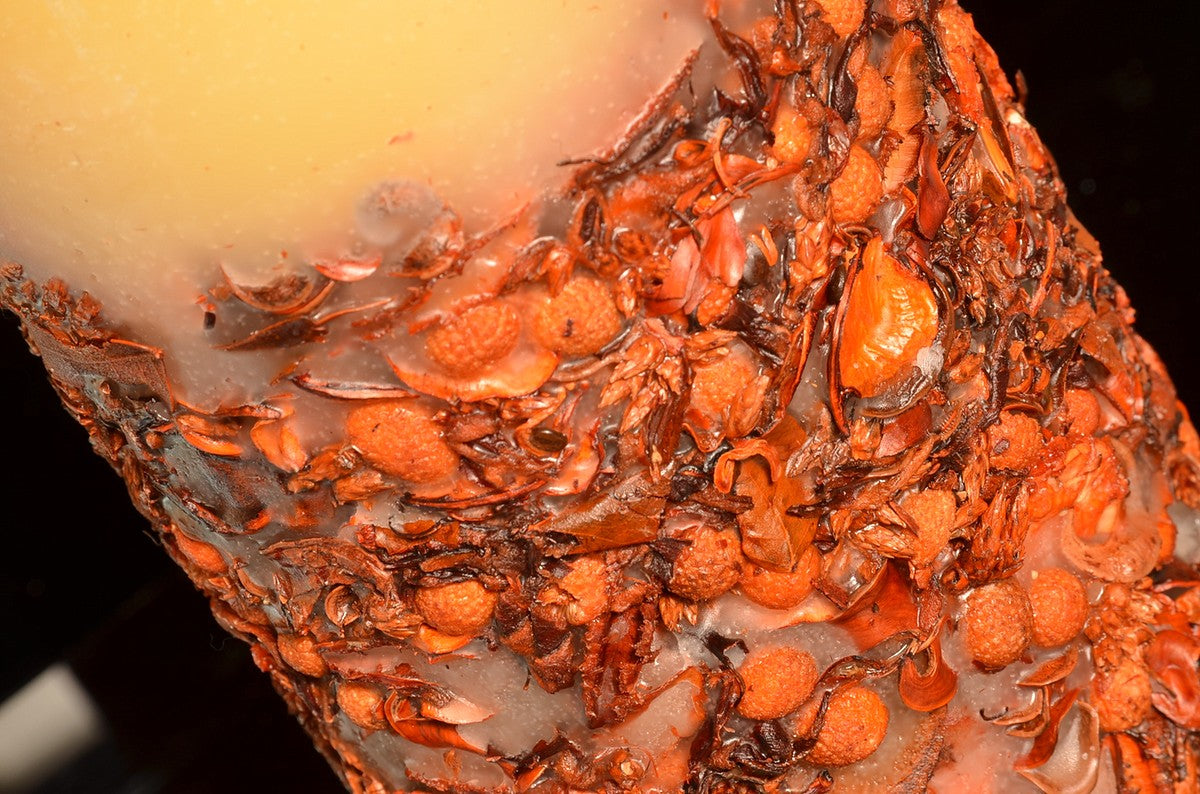 Potpourri-Kerze, Super XXXL, H: 26 cm rund