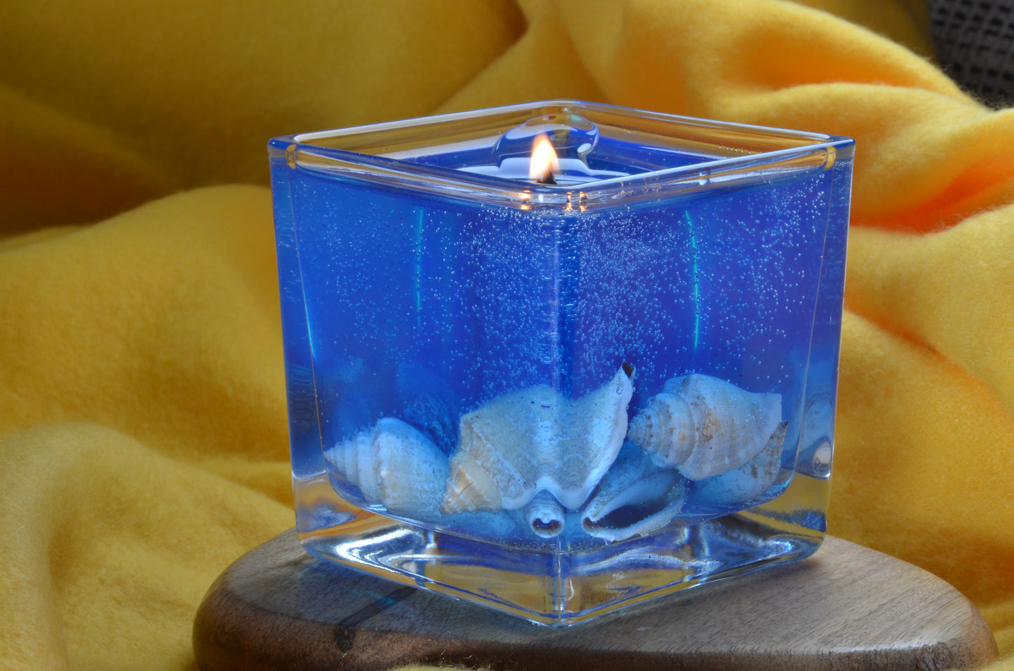 Nieuw voor 2025: XXL Schelpen Gelkaars "Blue Sea" met houten Pit 10x10x10 cm - BEKIJK VIDEO