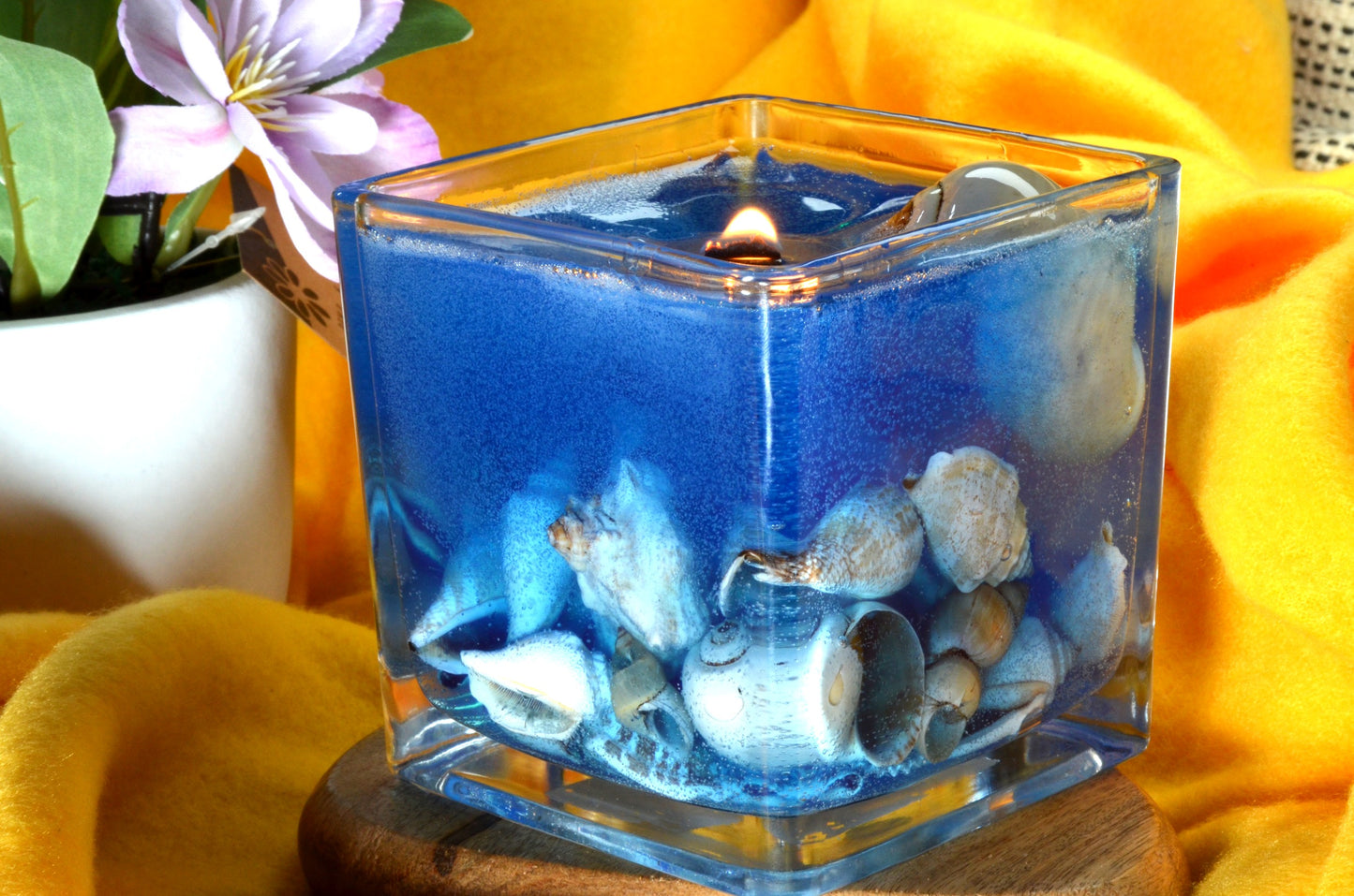 Nieuw voor 2025: XXL Schelpen Gelkaars "Blue Sea" met houten Pit 10x10x10 cm - BEKIJK VIDEO