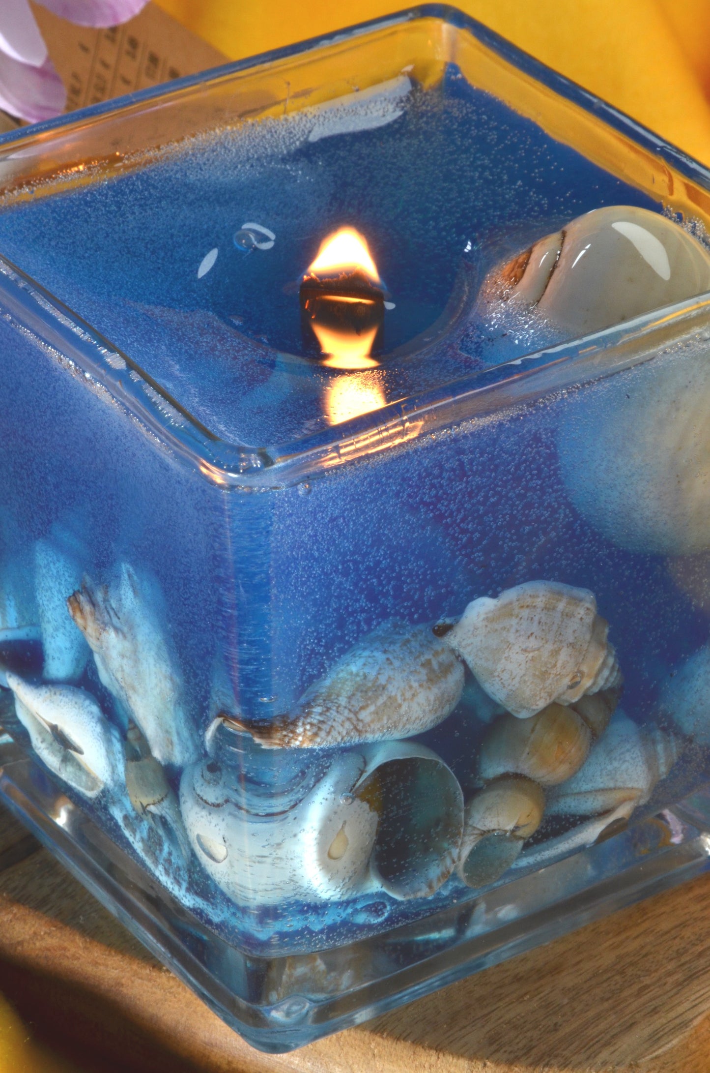 Nieuw voor 2025: XXL Schelpen Gelkaars "Blue Sea" met houten Pit 10x10x10 cm - BEKIJK VIDEO