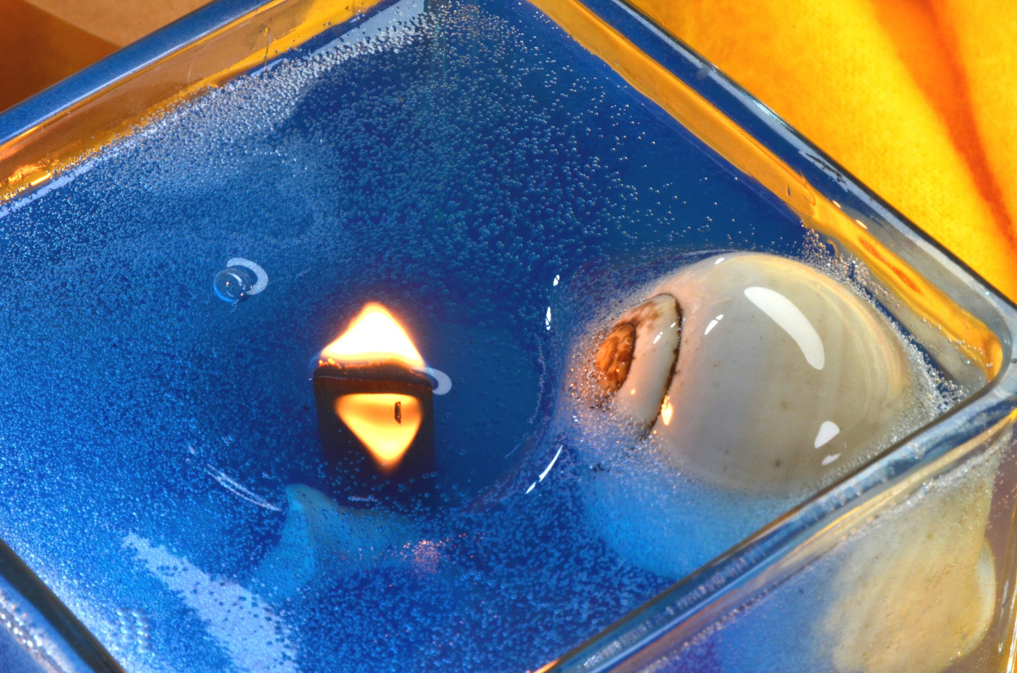 Nieuw voor 2025: XXL Schelpen Gelkaars "Blue Sea" met houten Pit 10x10x10 cm - BEKIJK VIDEO