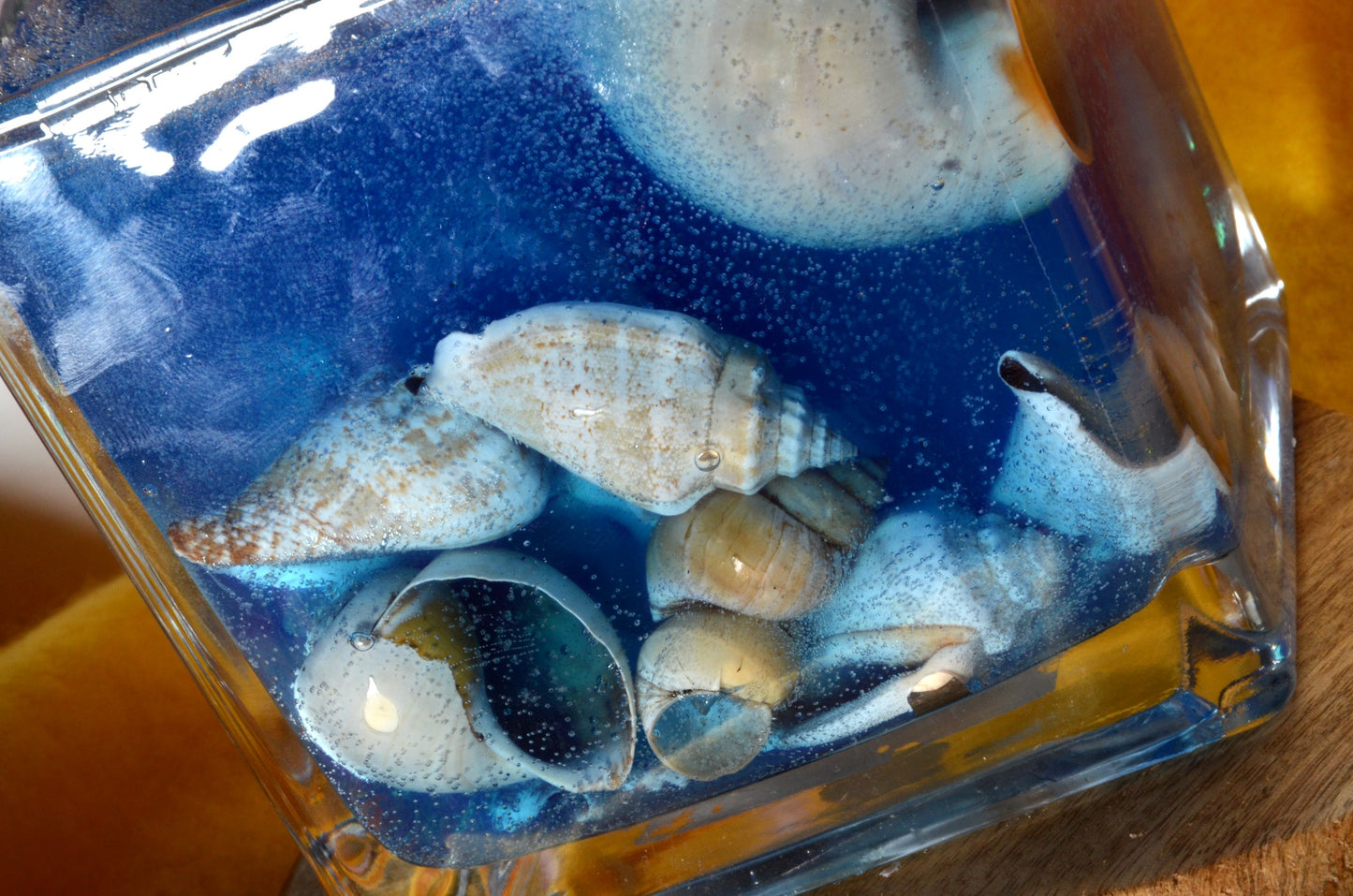 Nieuw voor 2025: XXL Schelpen Gelkaars "Blue Sea" met houten Pit 10x10x10 cm - BEKIJK VIDEO