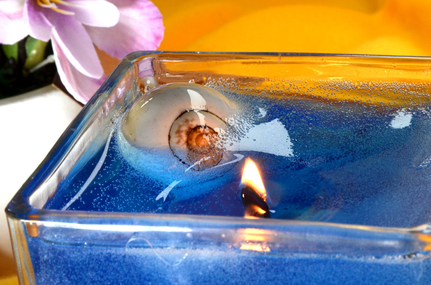 Nieuw voor 2025: XXL Schelpen Gelkaars "Blue Sea" met houten Pit 10x10x10 cm - BEKIJK VIDEO