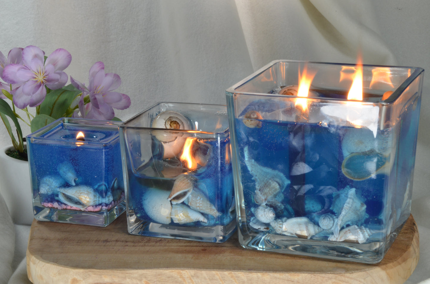 Nieuw voor 2025: XXL Schelpen Gelkaars "Blue Sea" met houten Pit 10x10x10 cm - BEKIJK VIDEO