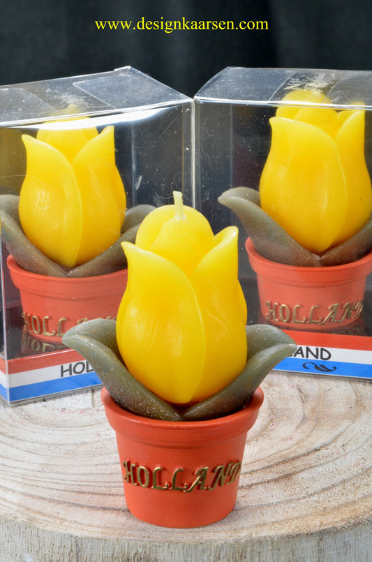 Set aus 3 gelben TULPEN-Kerzen in einer schönen Geschenkbox, Höhe: 10 cm